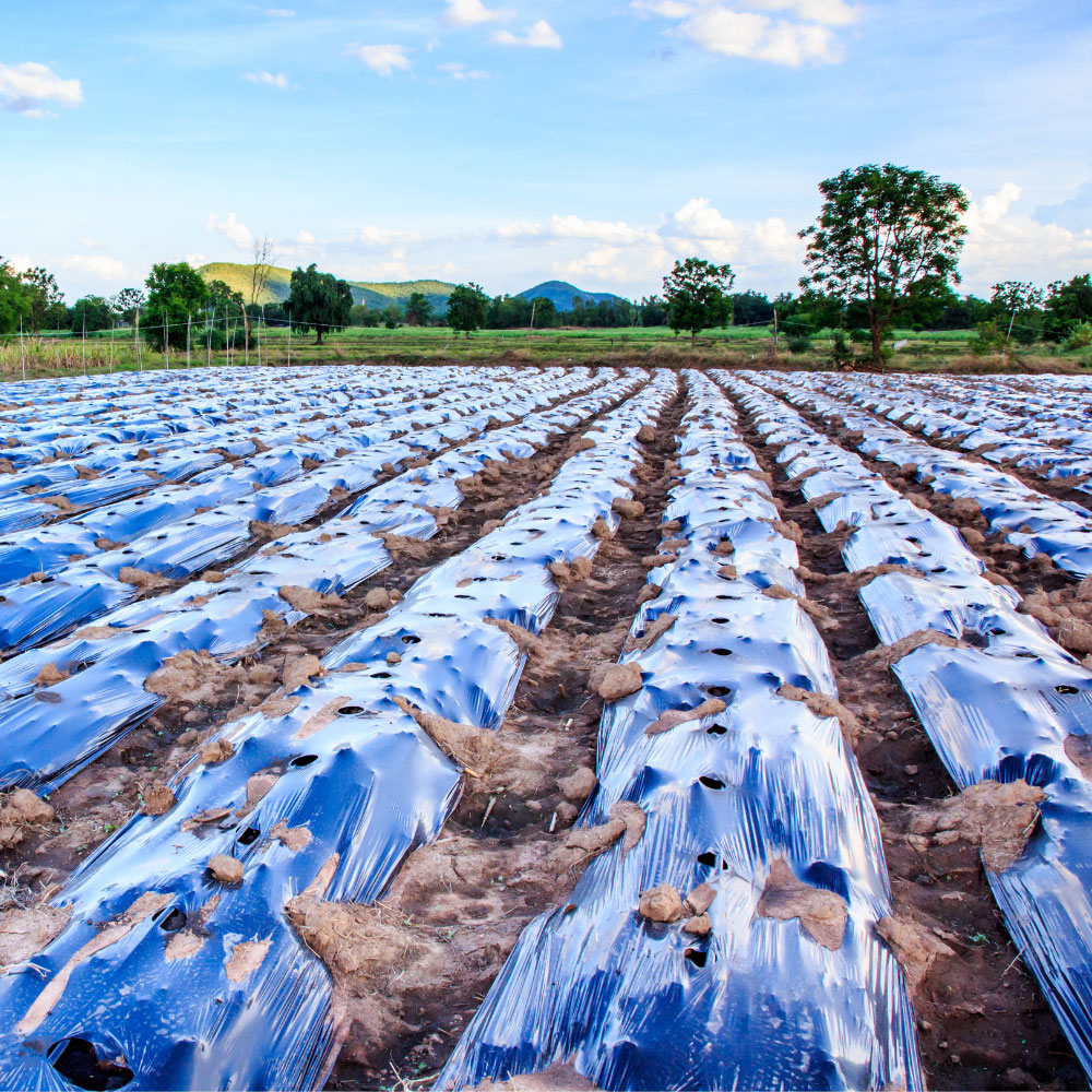 نایلون کشاورزی
